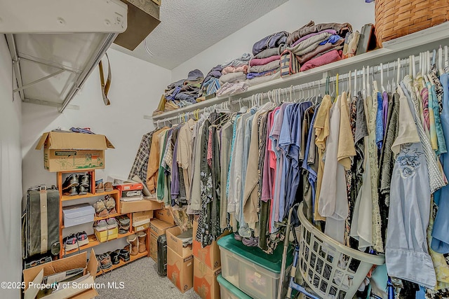 582 Lakeview Dr W, Lake Ariel, PA 18436 - walk in closet with carpet