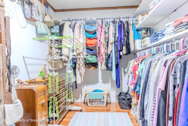 walk in closet featuring hardwood / wood-style flooring