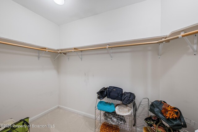 1625 Wyoming Ave Unit L 2, Scranton, PA 18505 - photo 18