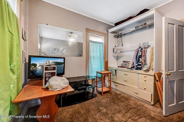 interior space featuring carpet floors and ornamental molding