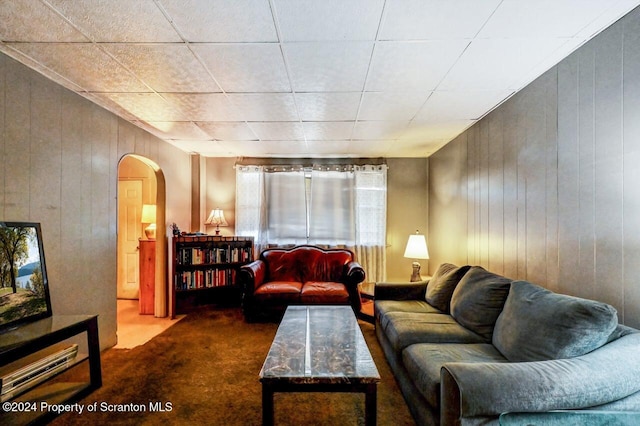 living room featuring carpet floors and wood walls