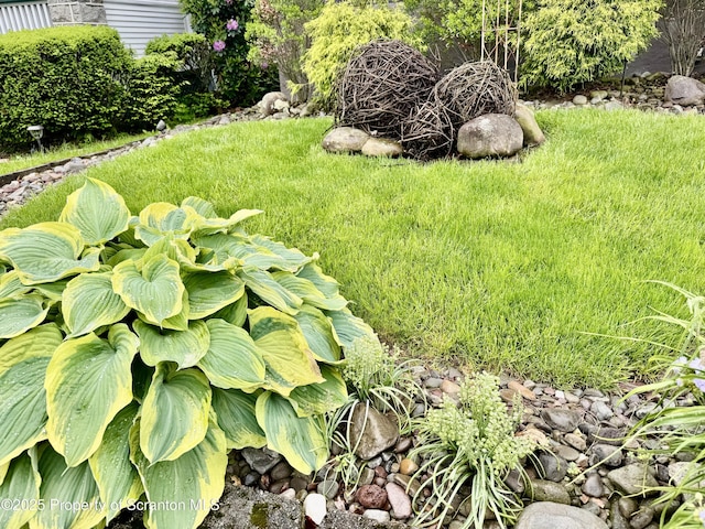 918 Hemlock St, Scranton, PA 18505 - view of yard