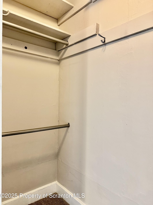 918 Hemlock St, Scranton, PA 18505 - view of spacious closet