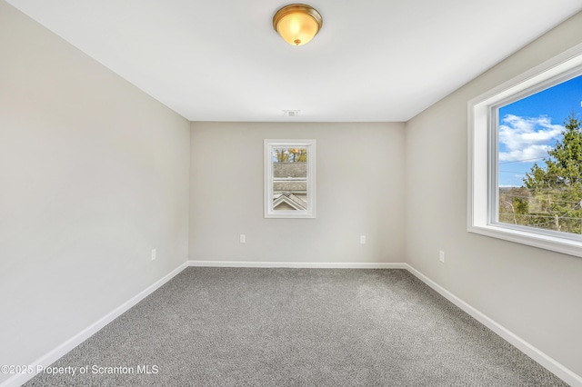 14 Maiden Ln, Susquehanna, PA 18847 - carpeted spare room with plenty of natural light and baseboards