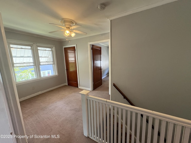 2036 N Main Ave, Scranton, PA 18508 - photo 24