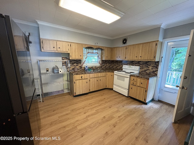 2036 N Main Ave, Scranton, PA 18508 - photo 8