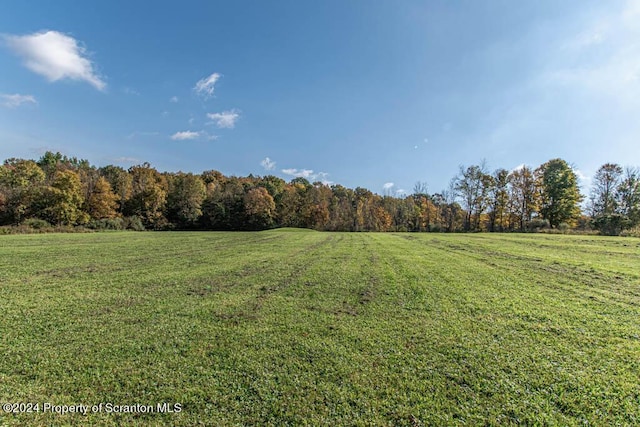 view of yard featuring a rural view