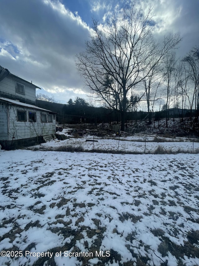 view of yard covered in snow