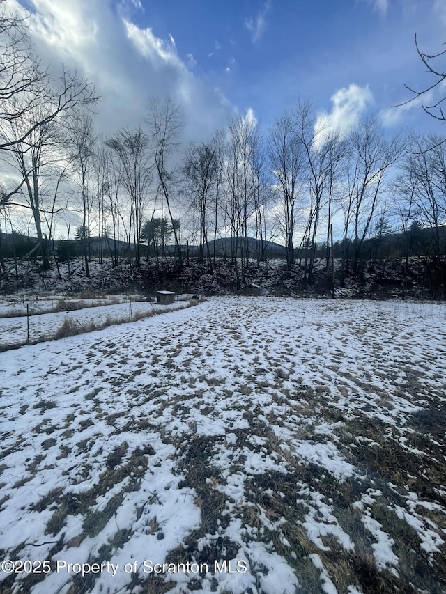 view of yard layered in snow