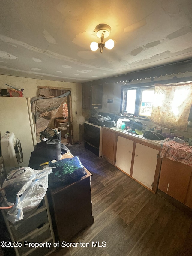 kitchen with dark hardwood / wood-style flooring and white fridge