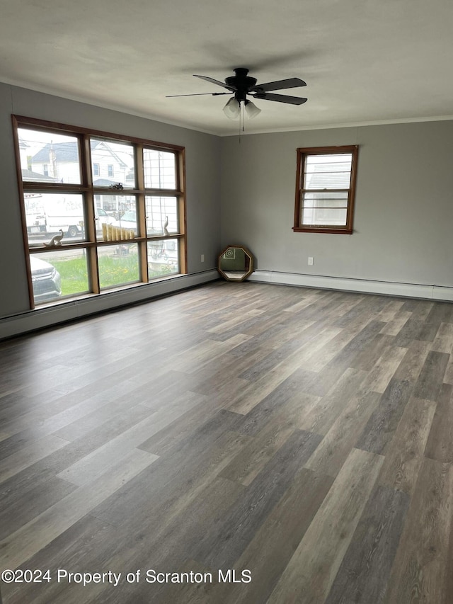 271 Poplar St, Dickson City, PA 18519 - photo 8