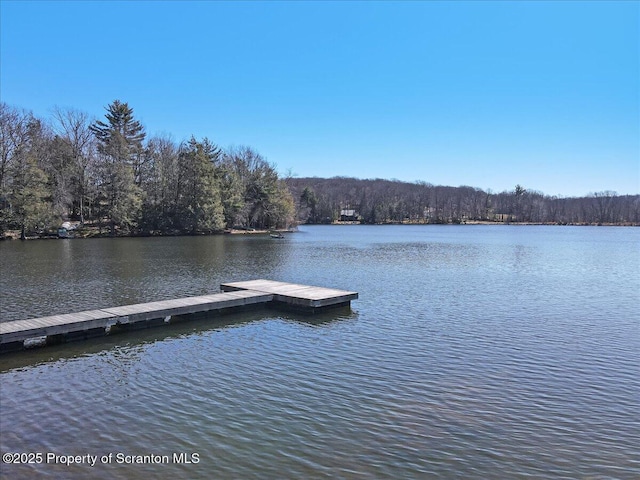 134 Laurel Hill Dr Unit 102, Greentown, PA 18426 - dock area with a water view and a view of trees