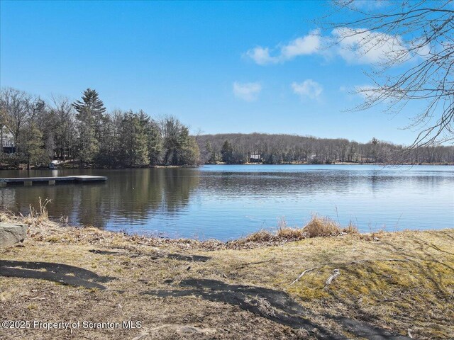 134 Laurel Hill Dr Unit 102, Greentown, PA 18426 - water view with a heavily wooded area