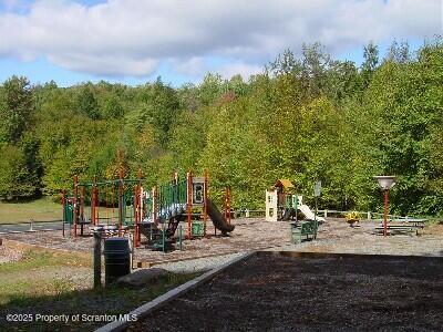 134 Laurel Hill Dr Unit 102, Greentown, PA 18426 - community jungle gym with a wooded view