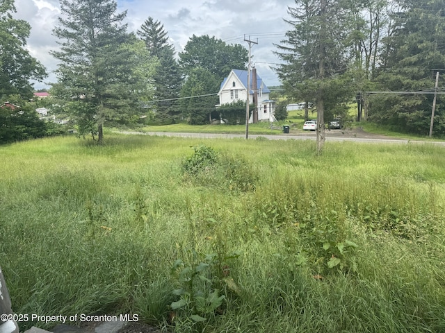 11269 State Route 29, Montrose, PA 18801 - view of yard