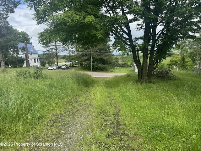 11269 State Route 29, Montrose, PA 18801 - view of yard