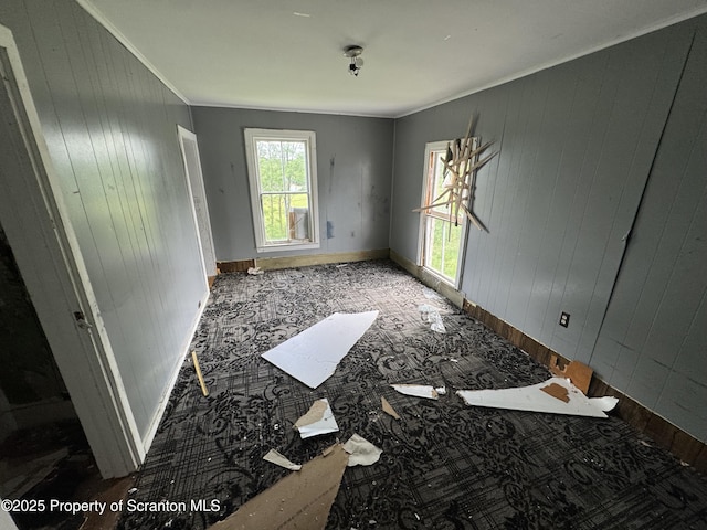 11269 State Route 29, Montrose, PA 18801 - empty room with wood walls, ornamental molding, and carpet