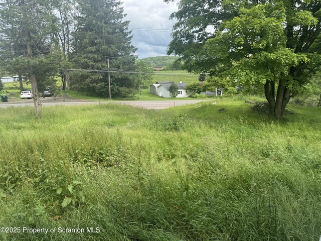 11269 State Route 29, Montrose, PA 18801 - view of yard