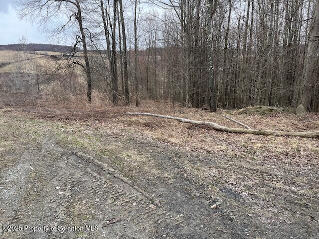 1590 Fraser Rd, Montrose, PA 18801 - photo 2