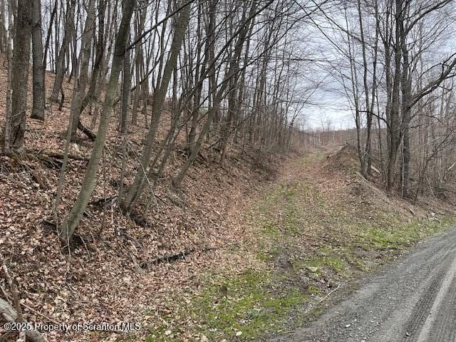 1590 Fraser Rd, Montrose, PA 18801 - photo 3