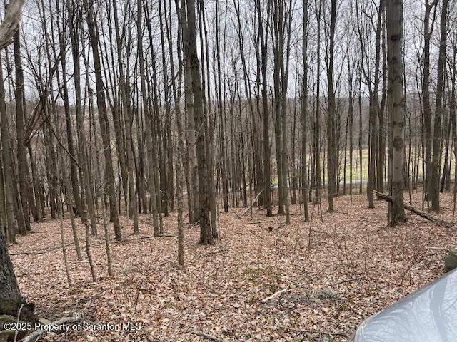 1590 Fraser Rd, Montrose, PA 18801 - photo 6