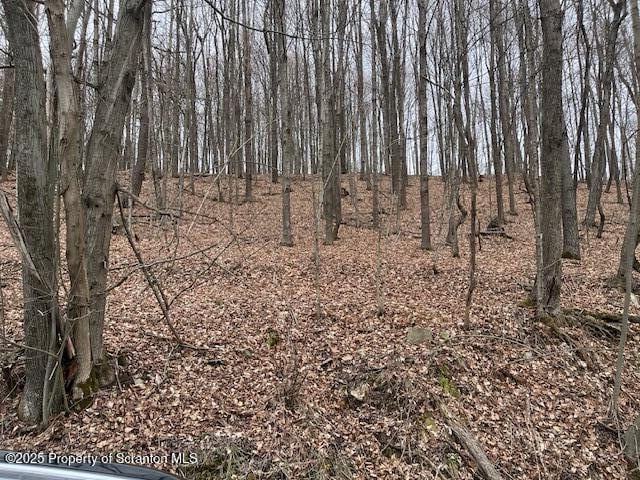 1590 Fraser Rd, Montrose, PA 18801 - photo 1