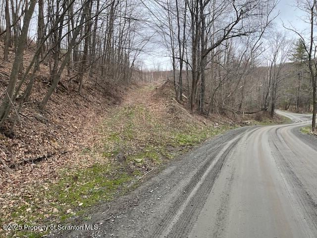 1590 Fraser Rd, Montrose, PA 18801 - photo 9