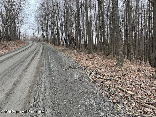 1590 Fraser Rd, Montrose, PA 18801 - photo 7