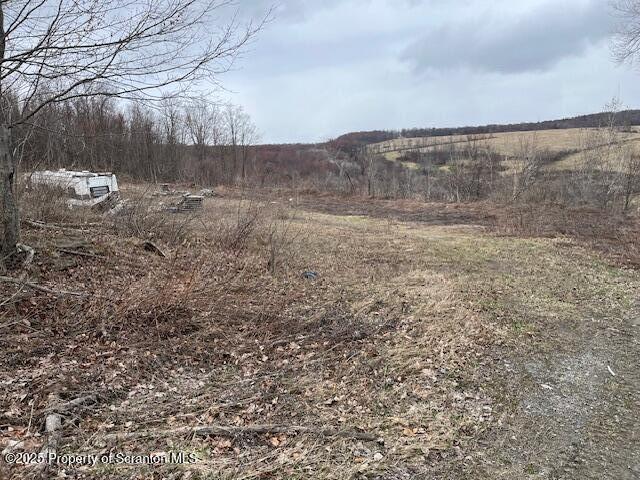 1590 Fraser Rd, Montrose, PA 18801 - photo 8
