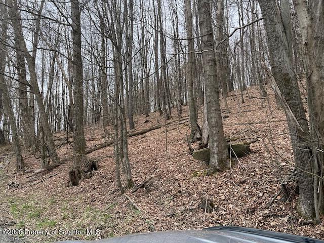 1590 Fraser Rd, Montrose, PA 18801 - photo 4