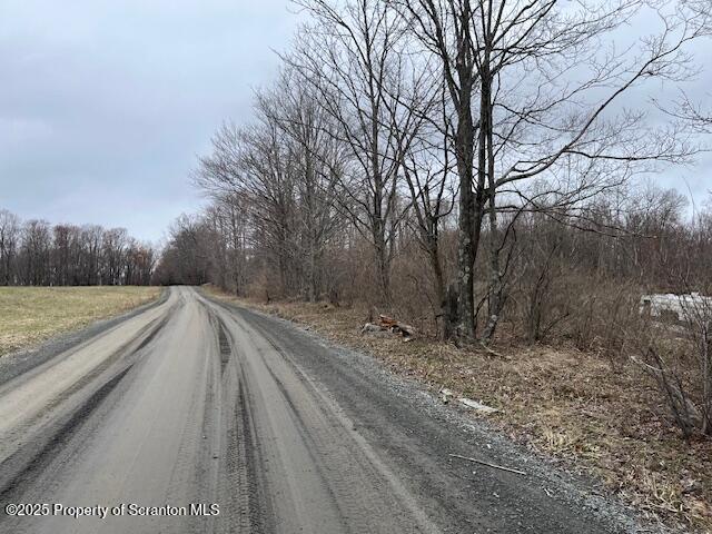 1590 Fraser Rd, Montrose, PA 18801 - photo 10