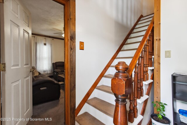 30 William St, Hallstead, PA 18822 - photo 6