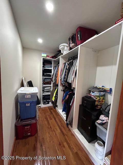 spacious closet with dark hardwood / wood-style floors