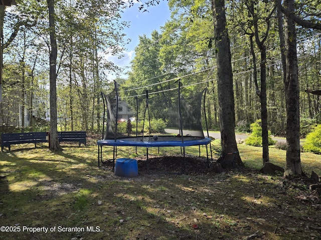 view of yard featuring a trampoline