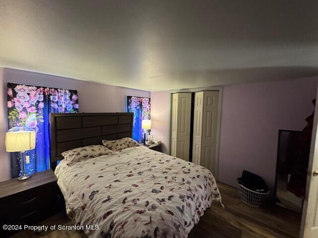 bedroom with wood-type flooring and a closet