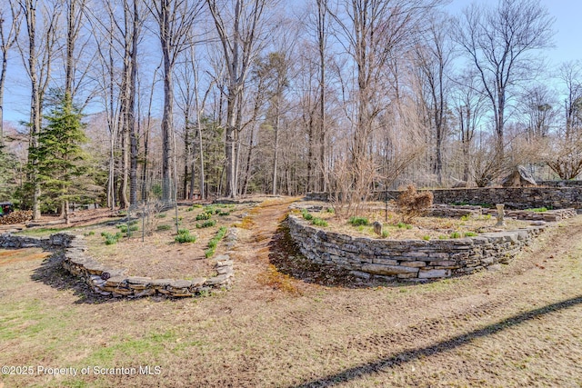 125 Frances Ln, Greentown, PA 18426 - view of yard