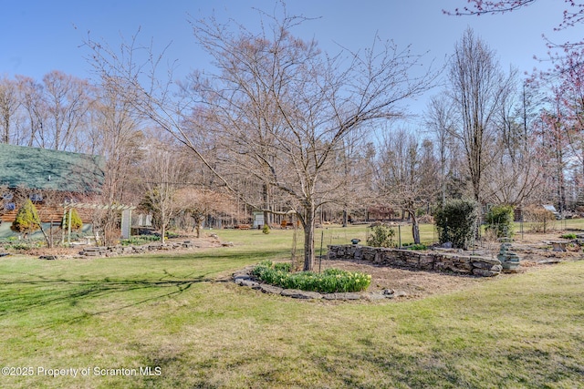 125 Frances Ln, Greentown, PA 18426 - view of yard