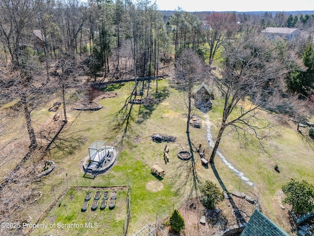 125 Frances Ln, Greentown, PA 18426 - aerial view