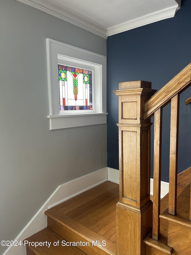 stairs with crown molding