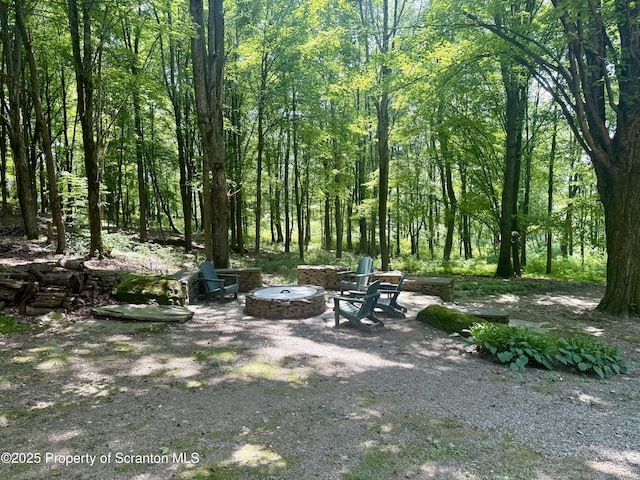 600 Paye Hill Rd, Union Dale, PA 18470 - photo 42