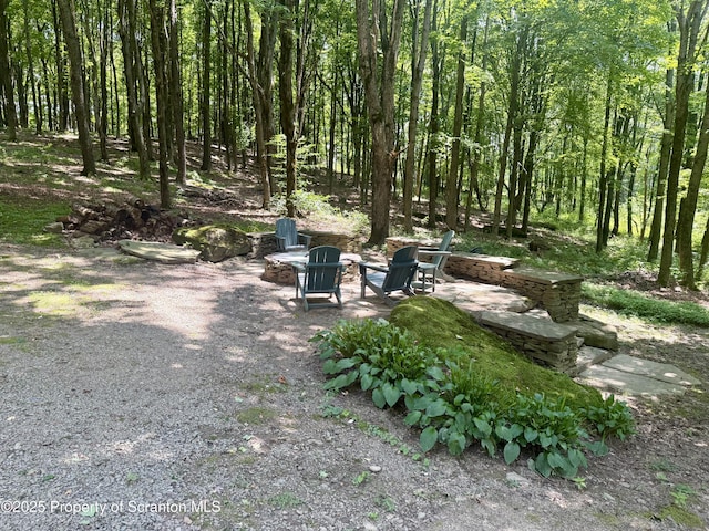 600 Paye Hill Rd, Union Dale, PA 18470 - photo 41