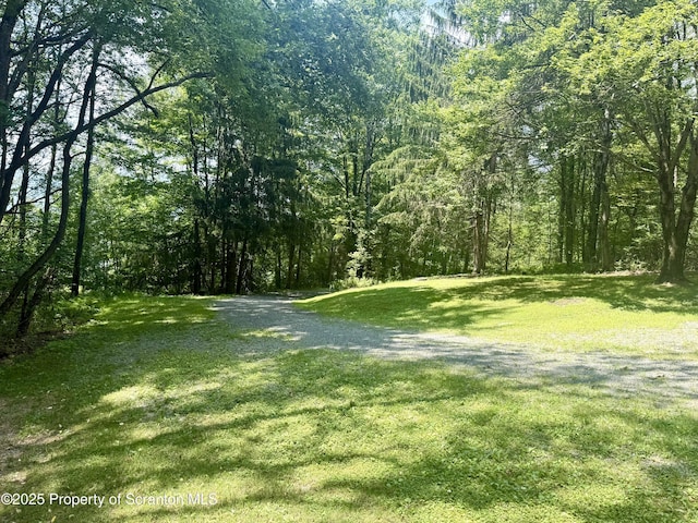600 Paye Hill Rd, Union Dale, PA 18470 - photo 40