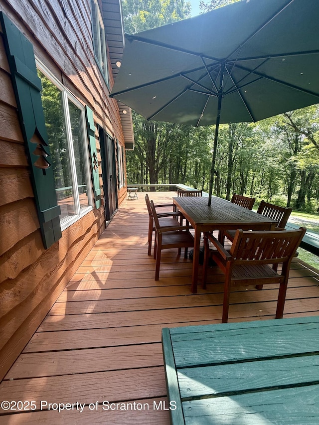 600 Paye Hill Rd, Union Dale, PA 18470 - photo 13