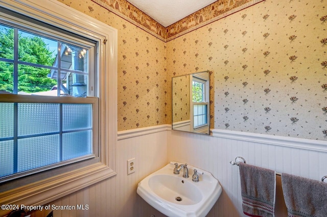 bathroom featuring sink and a healthy amount of sunlight