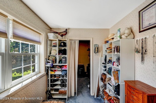 walk in closet with carpet floors