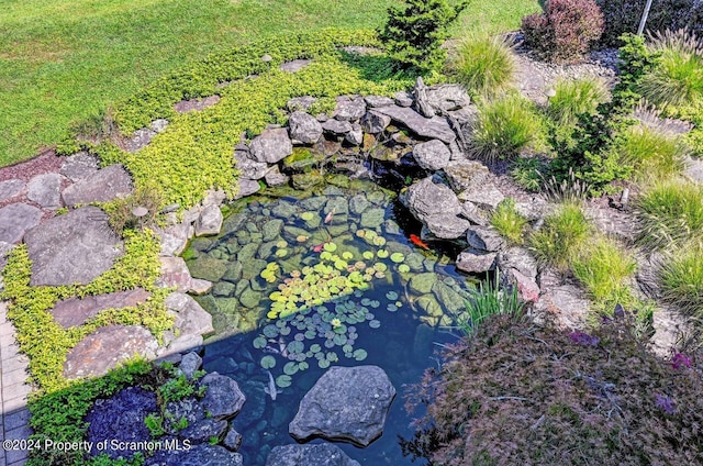 details featuring a garden pond