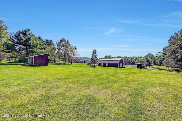 view of yard featuring a shed