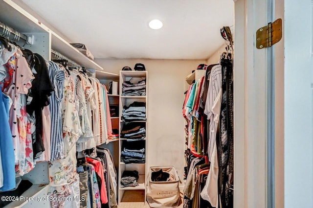 view of walk in closet