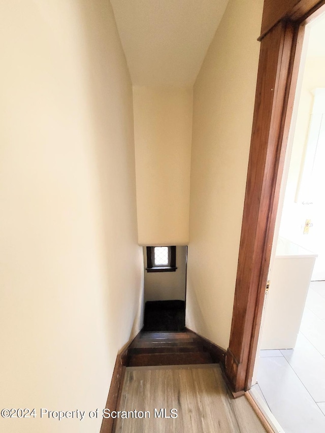 stairs featuring wood-type flooring