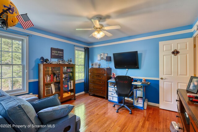 157 Mcesther Dr Unit L 31, Covington Twp, PA 18424 - office space featuring healthy amount of natural light, ceiling fan, and wood finished floors